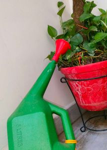 Klassic Watering Can 5 (L)