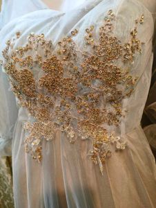 Goldish Grey Embellished Tulle Dress