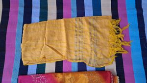 Set of 3 Vibrant Dupattas
