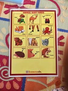 Combo For Kids Learning