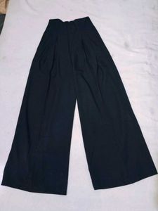 Wide Leg Pleated Pants