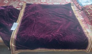 Mitera Velvet Saree With Embroidered Border