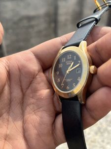 Timex Acqua Indiglo Romolo Watch