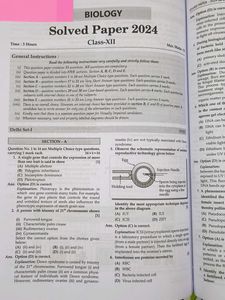 Oswaal CBSE 10 Years&#39; Solved Papers Class 12