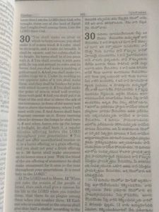 The Hoy Bible