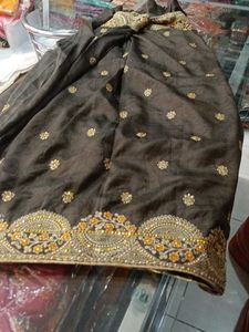 Elegant Embellished Saree