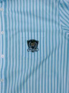 Striped Casual Shirt