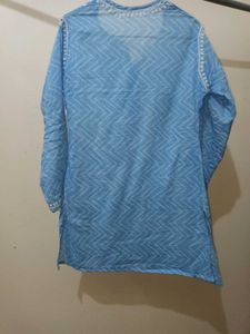 Short Handwork Chikan Kurta