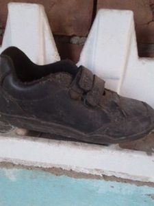 Black Shoe