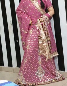 Pink Shimmer Embroidered Lehenga Choli