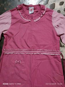 Girls Pink Long Sleeve Dress