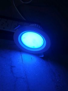Blue Color Deep Light