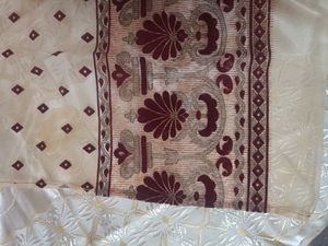 Unworn Tissue Saree With Velvet Print..