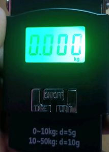 FADMAN 50 kg Hook Type Digital Led