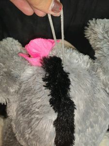 Miss Donkey😄 Big Size