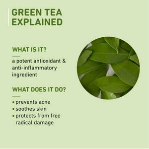 GREEN TEA RENEWED CLARITY NIGHT GEL