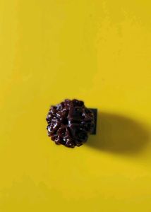 Original 5 Mukhi Nepali Rudraksha