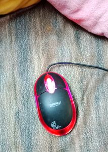 Weird Mouse