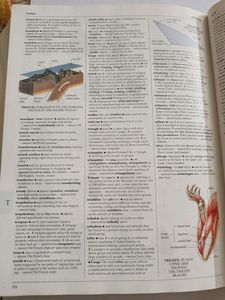 Illustrated Oxford Dictionary