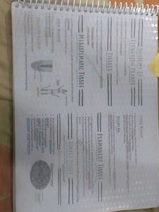 shobit nirvan notes biology class 11