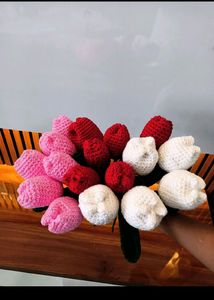Any One Tulip For 99/- 🌷