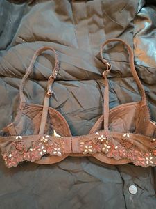Elegant Brown Bra
