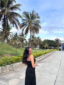 Elegant Black Dress with detailing ,very st