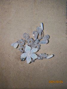 Butterfly Hair Clip ( Combo )