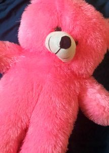 Pinky Teddy 🐻❤ Looking For Affectionate Hooman..