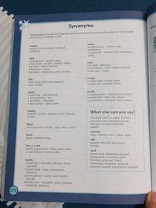 Junior Dictionary