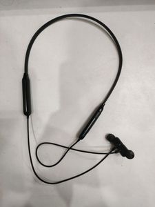 Earphones