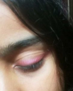 JUST HERBS Herbi-Wore Eyeshadow Lidsticks