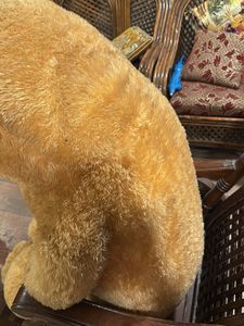 Giant Teddy Bear5.5 foot