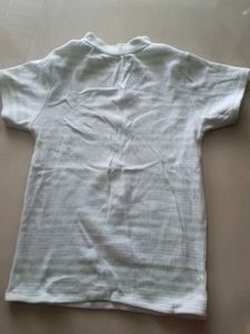 Green And White Combination Fitted Top