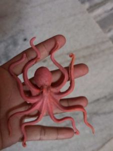 Sea Animals Imported High Quality Big Size