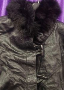 stylish jacket women