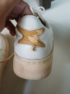 Zudio White Sneakers