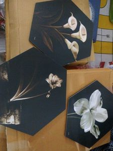 New Floral Wall Decor (Set of 3)