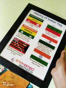 Indian Flag History Wall Frame Picture