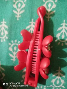 Hair Clip