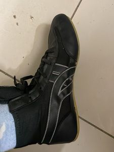 High Ankle, Unused Laceup Shoes