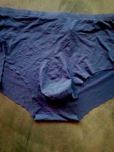 Mens Silk Seamless Pouch Briefs