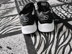Puma X Ray