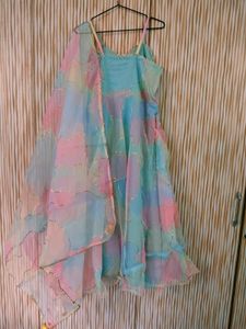 NEW Organza Anarkali