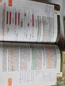 NCERT 11TH AND 12TH | NEET ASPIRANT