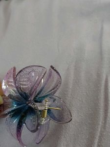 butterfly purple