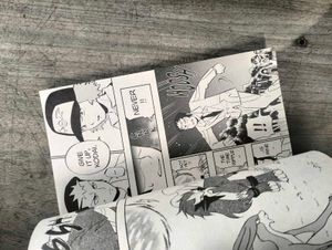 Pokemon Zoroark - manga, comic, novel, book