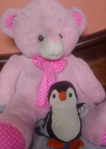 Teddy bear