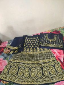 Embroidered Lehenga Choli