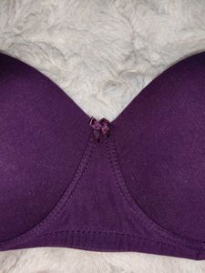 Clovia Padded 36C Set of 2 Bras